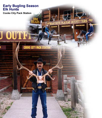 Bugling Season Elk Hunts in Wyoming and Montana