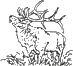 Beartooth Plateau Outfitters : Montana Elk Hunting