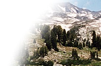 Montana Flyfishing Vacation